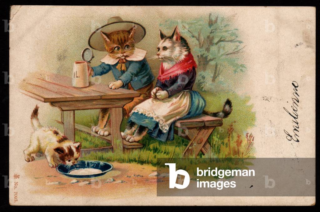 Animals in human-like poses. A pair of cats drinking beer and a kitten drinking milk. chromo postcard early 20th century.