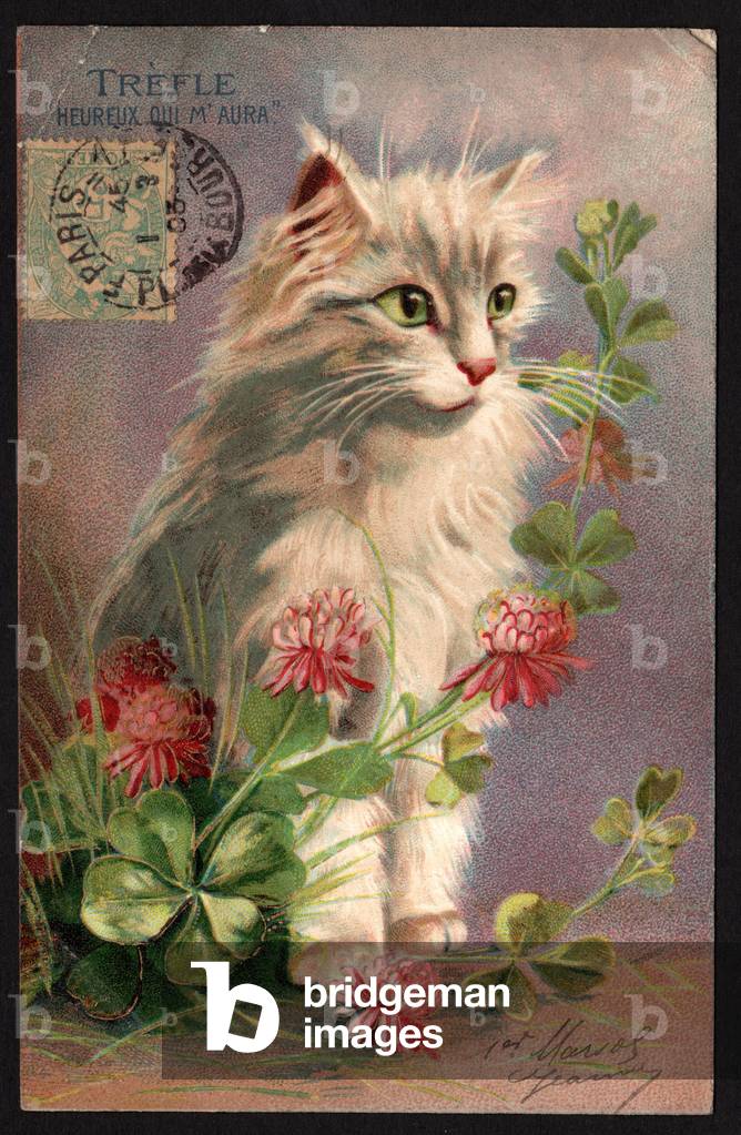 Clover. Happy is he who has me. Cat and flowers. Symbolic meaning of flowers. Postcard.