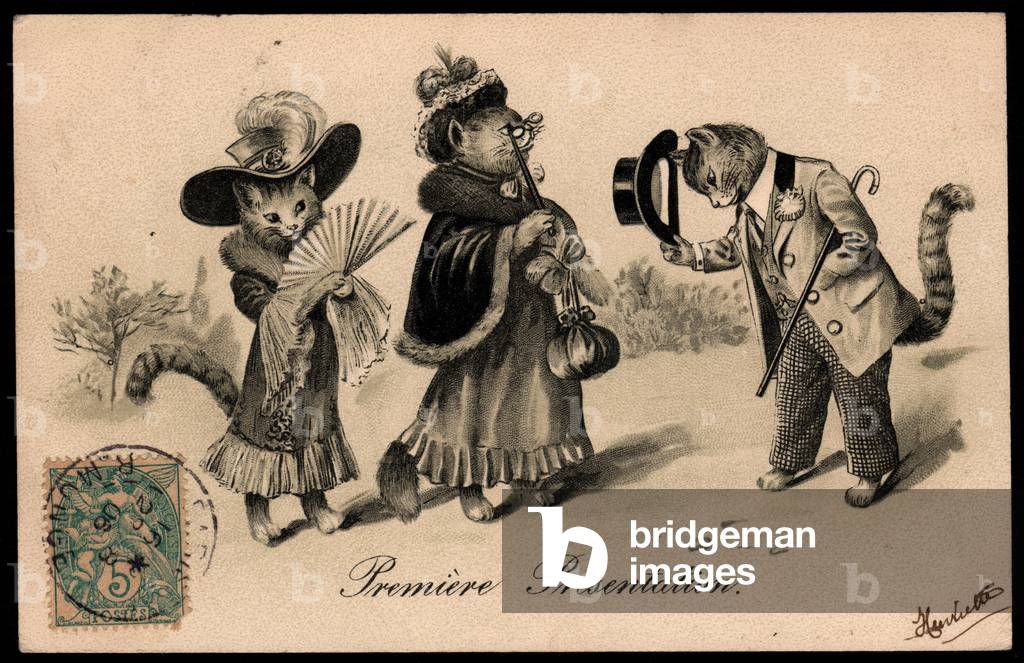 First presentation: Animals in human-like poses. Elegant cat greeting its future mother-in-law. Postcard.