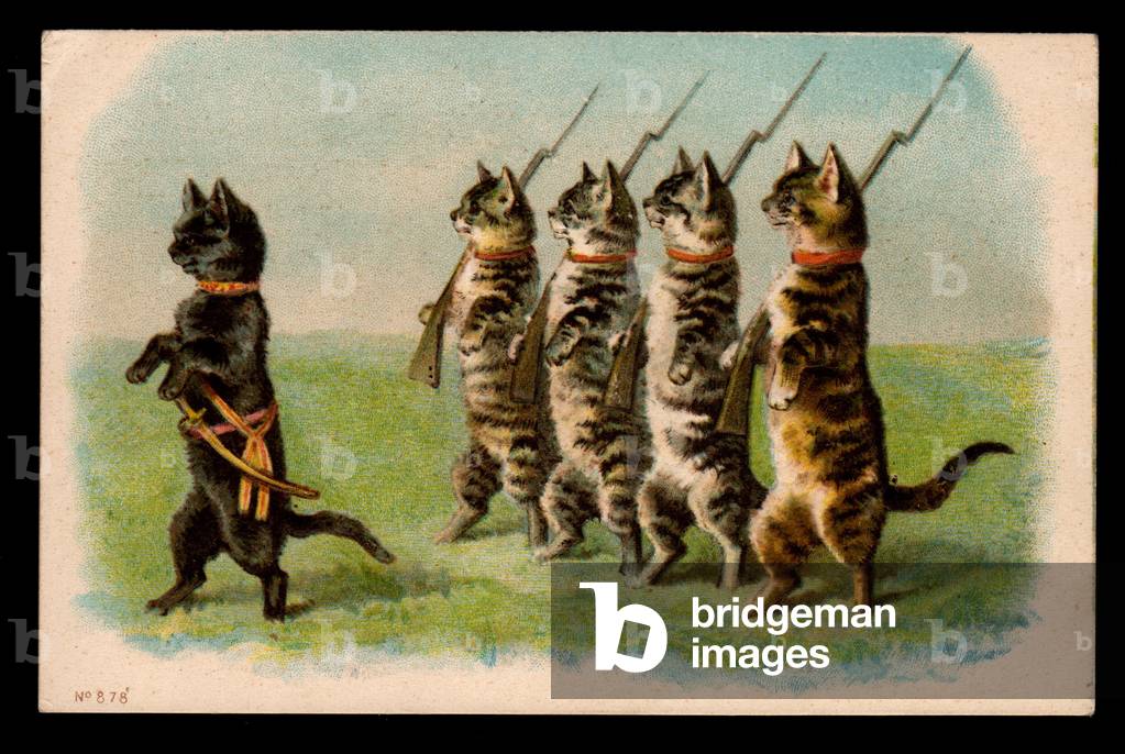 Animals in human poses. Military parade of cats. Postcard. Chromo, early 20th century.