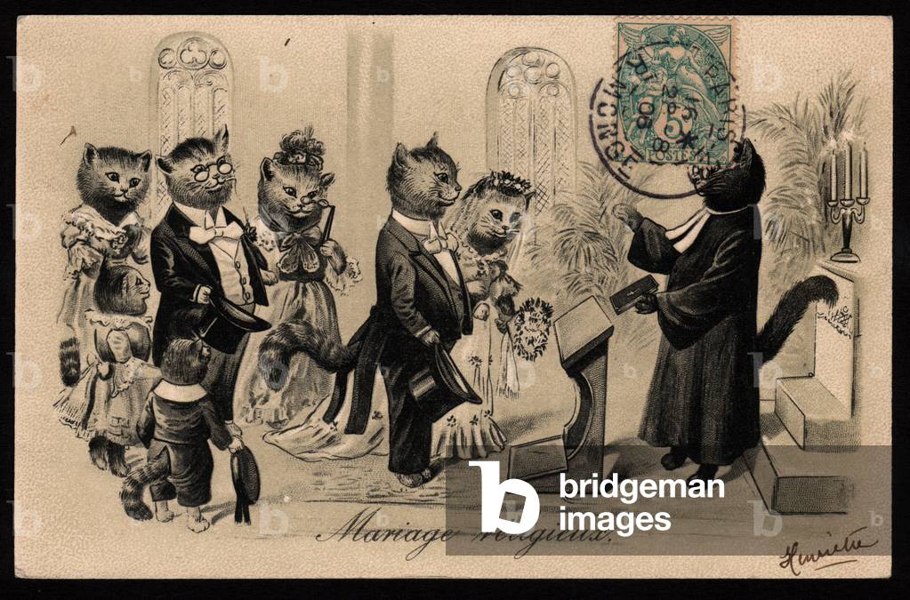 Religious wedding: couple of cats and family in church (chromo)