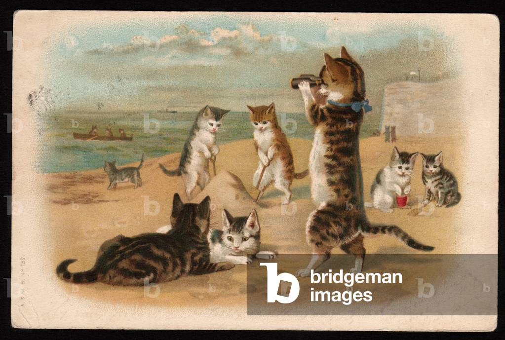 Animals in human-like poses. Cats dancing in a circle.