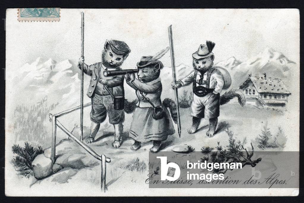Swiss Alpine ascent: Animals in human-like poses. Cats in traditional costumes at a mountain viewpoint. Postcard.