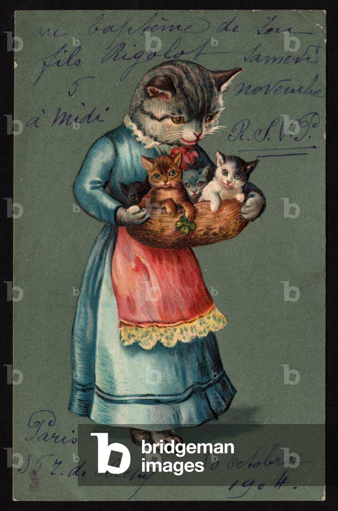Animals in human-like poses. Cat with her kittens in a basket. Postcard.