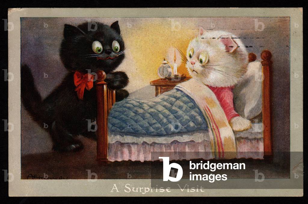 Animals in human-like poses. Black cat and white cat in a bedroom.