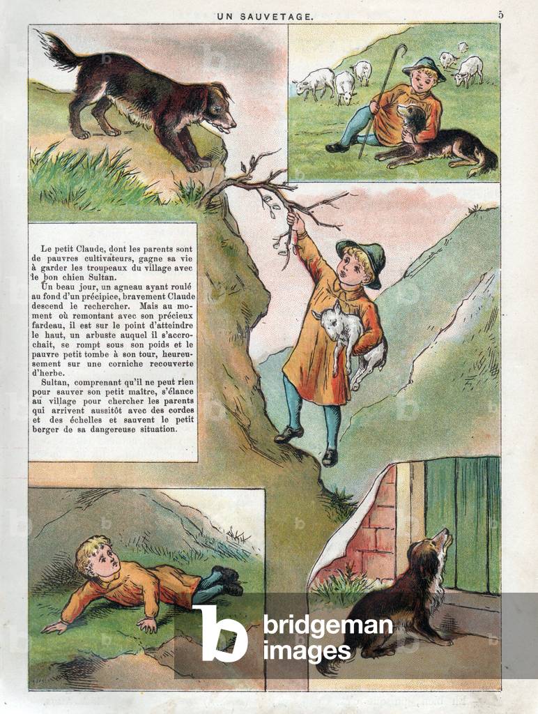 Young shepherd saving a goat and dog saving the shepherd, 1895 (engraving)