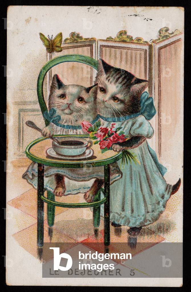 Lunch. Animals in human-like poses. A kitten's meal. Postcard. Chromo, early 20th century.