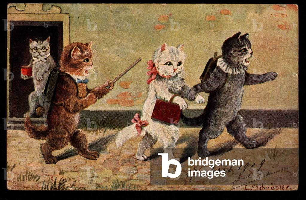 Animals in human-like poses. Young female and male cats on their way to school with satchels.