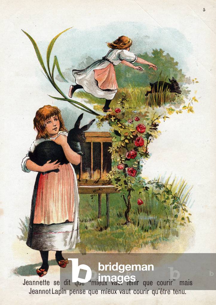 It's better to hold than to run, but the rabbit prefers to run, 1895 (engraving)