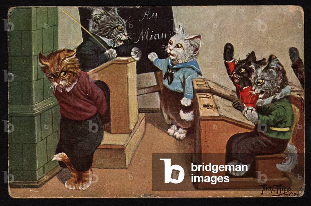 Animals in human poses. School class with cats as students. Postcard.
