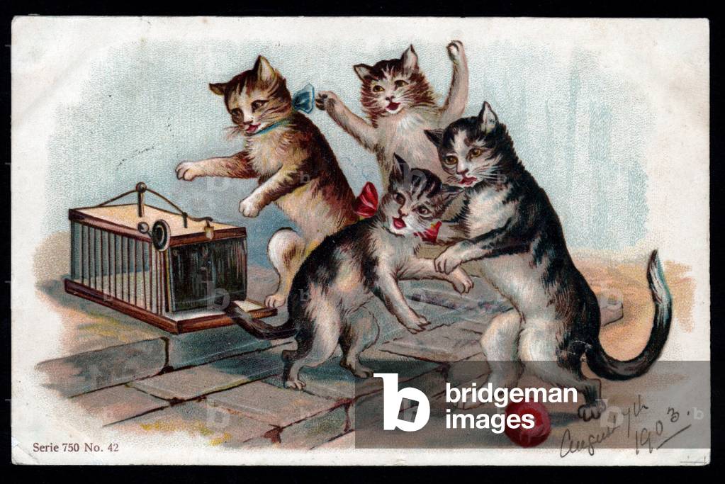 Animals in human-like poses. Cats and a mousetrap. Postcard. Chromo, early 20th century. .