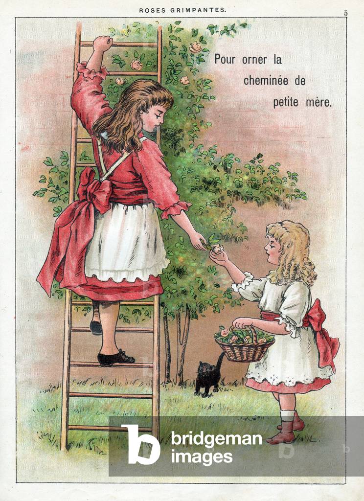 Little girl picking roses from a rosebush, 1895 (engraving)