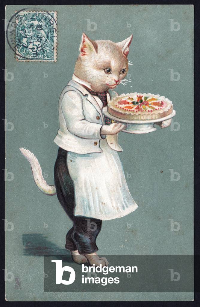 Animal in a human-like pose: cat chef in an apron serving a cake. Postcard.