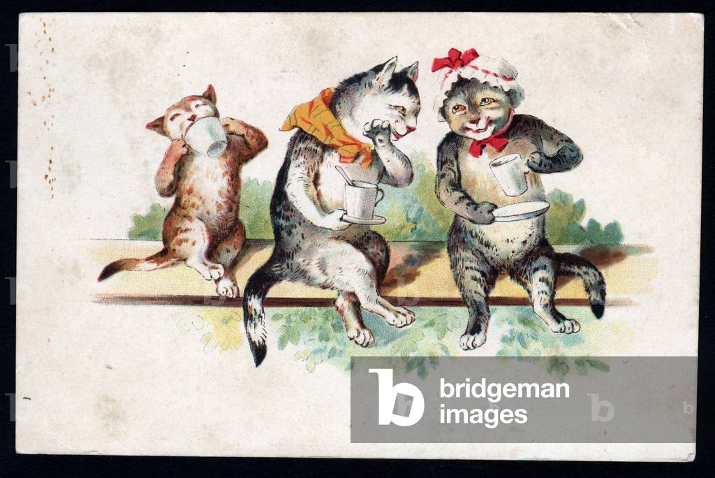 The Toilet. Animals in human-like poses. Cats drinking tea on a wall and sharing secrets. Postcard. Chromo, early 20th century.