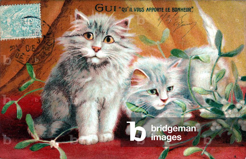 Mistletoe. May it bring you happiness. Cat and flowers. Symbolic meaning of flowers. Postcard.  Early 20th century.