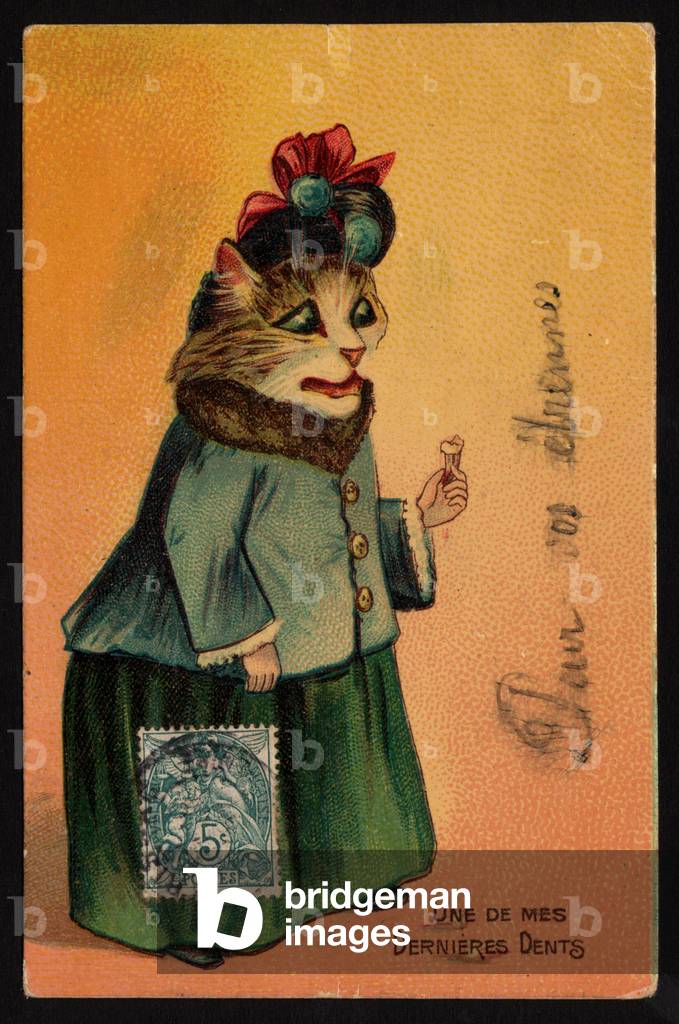 One of my last teeth. Animals in the position of human beings. Cat who has just lost a tooth. (chromo)