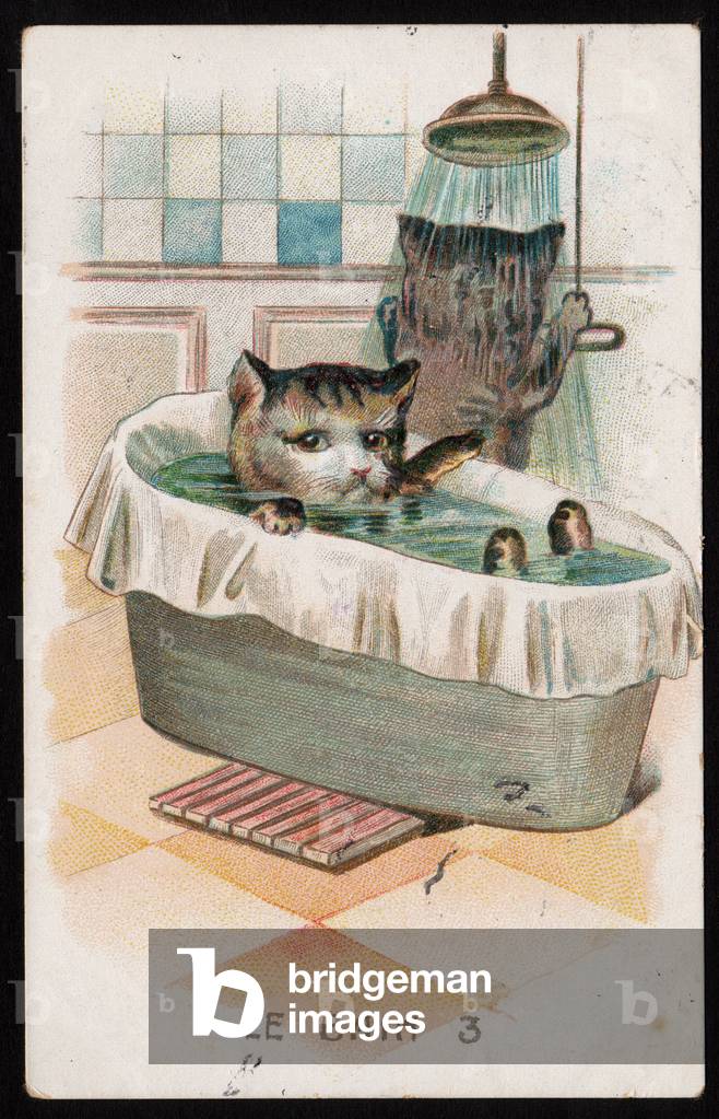 The Bath. Animals in Human Poses. Cats in the shower and in a bathtub. Postcard. Chromo by G.L. Barnes, early 20th century.