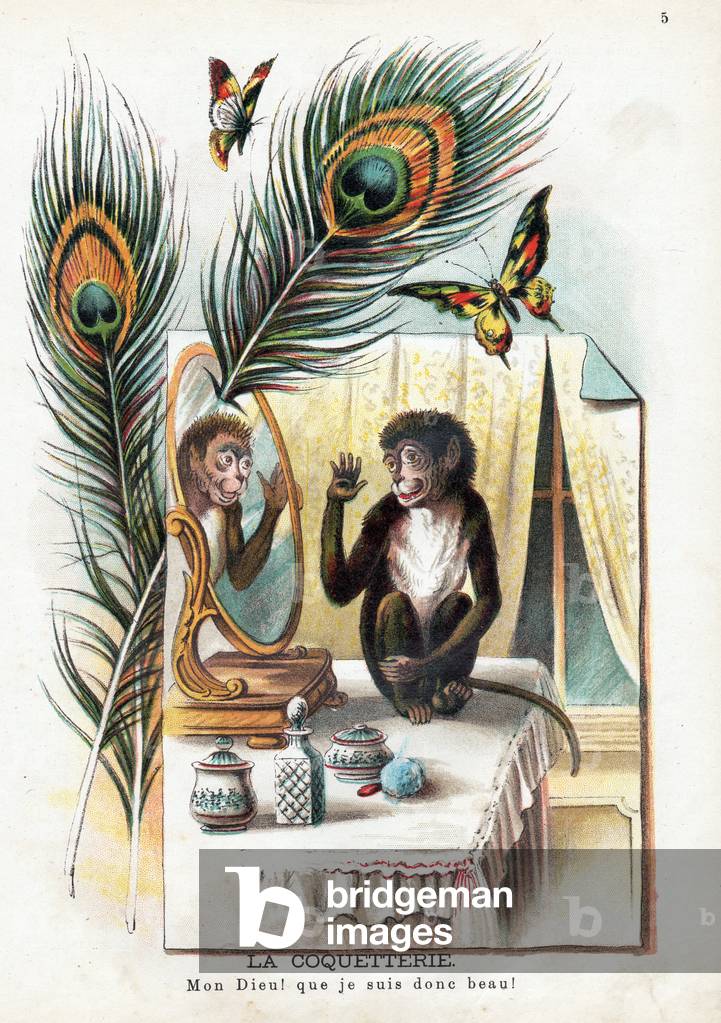 The coquettish monkey in a human pose looking at itself in a mirror, 1895 (engraving)