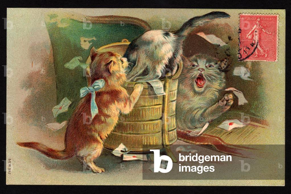 Cats making a mess in a wastepaper basket. Envelopes and letters flying. Postcard.