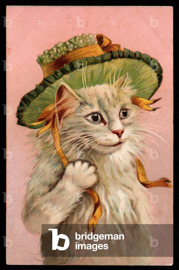 Animals in human-like poses. Cat with a hat on its head. Postcard.