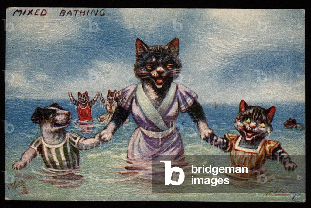 Mixed bathing. Animals in human-like poses. Dog and cat in the sea. Postcard.