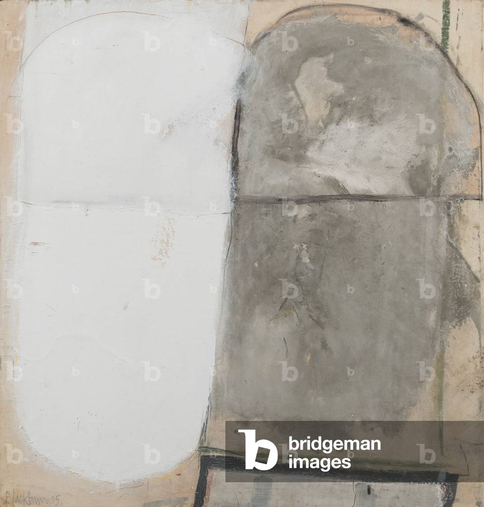 Jerwood Grey with White, 2005 (oil & mixed media on canvas laid on board)