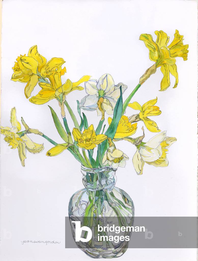 Daffodils in a Narrow Necked Vase, 2006 (w/c & ink on paper)