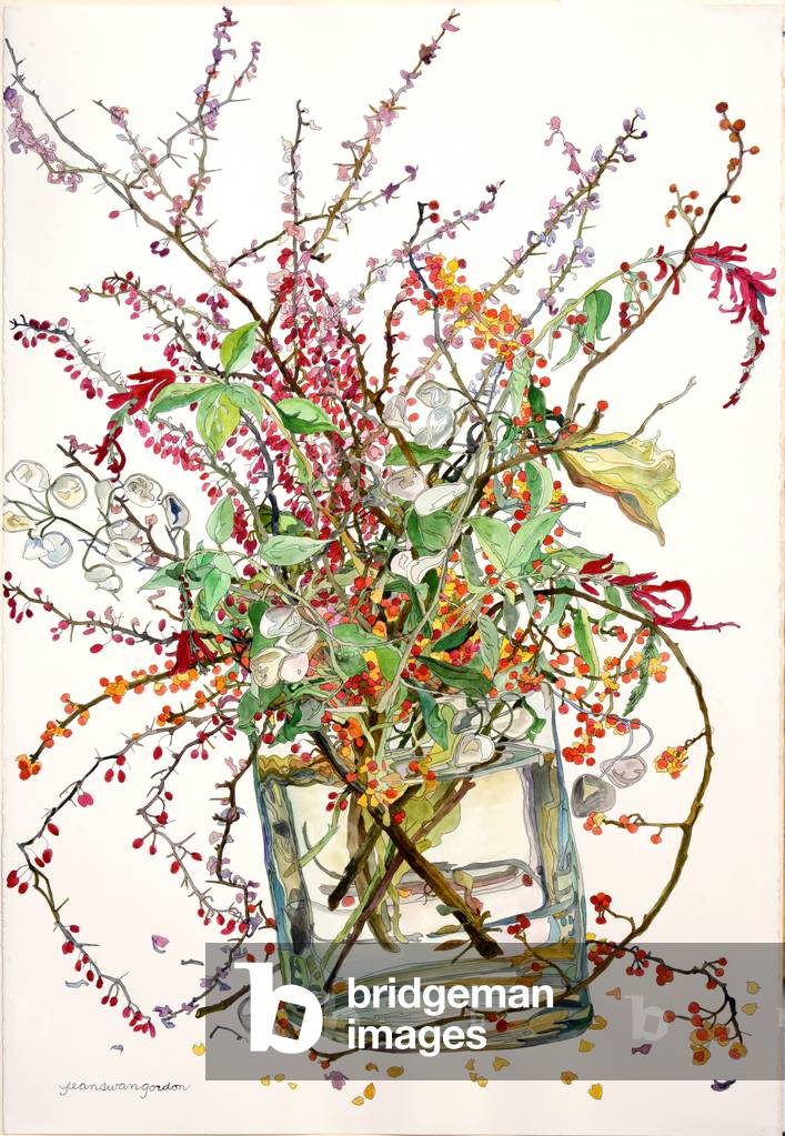Bittersweet, Barberry, Honesty, Pineapple Sage, 1999 (w/c & ink on paper)