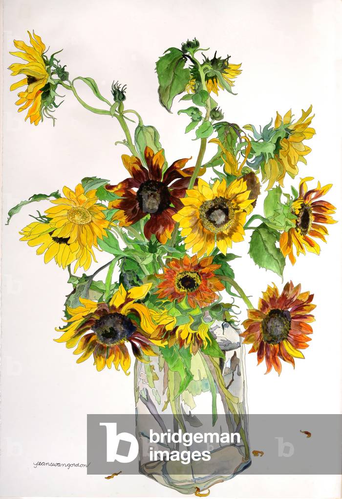 Karens Sunflowers, 1998 (w/c & ink on paper)