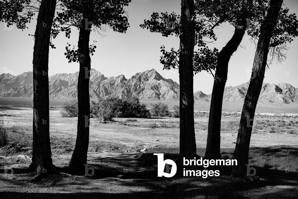 Zeinodin Caravanserai, Province Yazd,  May, 2017