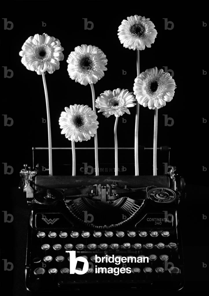 The poets dream, 2009  (b/w photo)