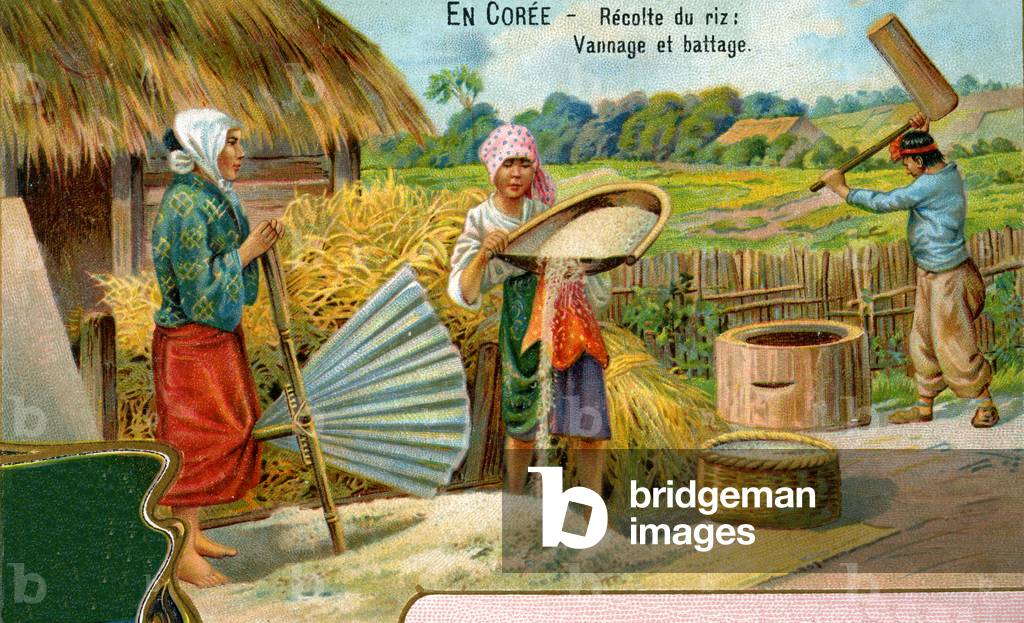 The rice harvest in Korea, winnowing and threshing, 1904 (colour litho) 