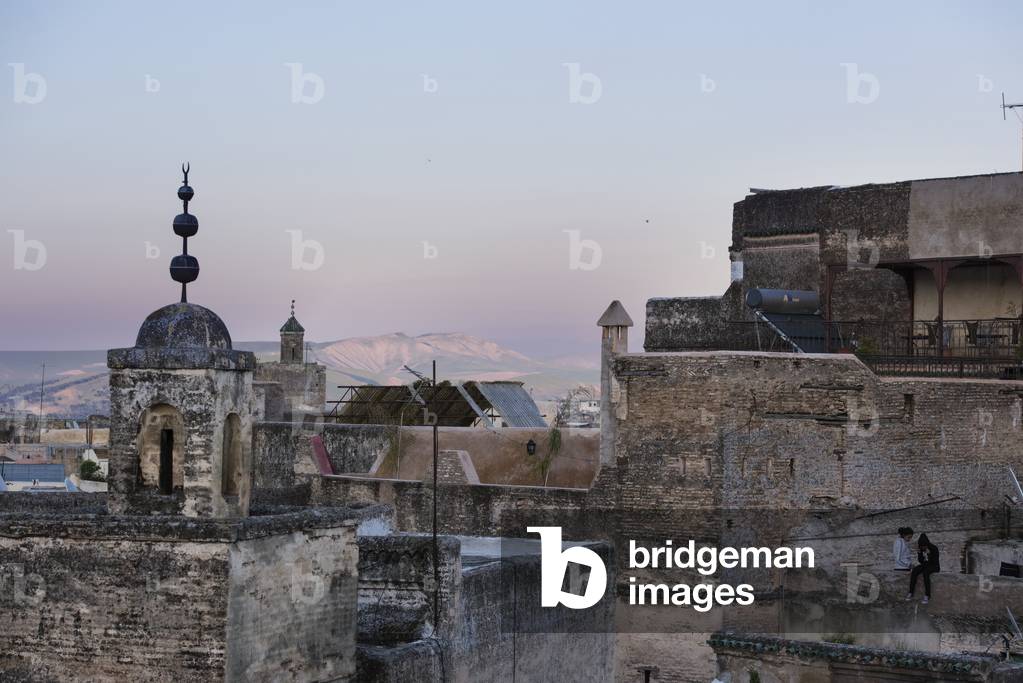 Rooftops and minarets, Fes el Bali, Morocco (photo)