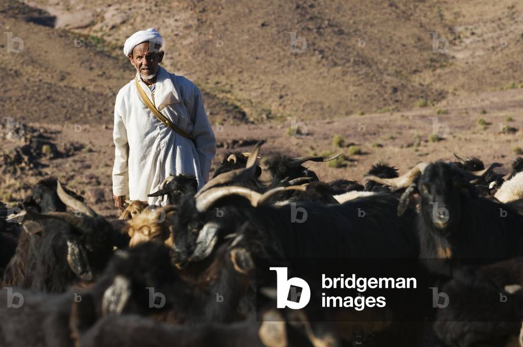 Shepherd with his goats, Ait Atta Berber nomads, Jbel Saghro, Morocco (photo)