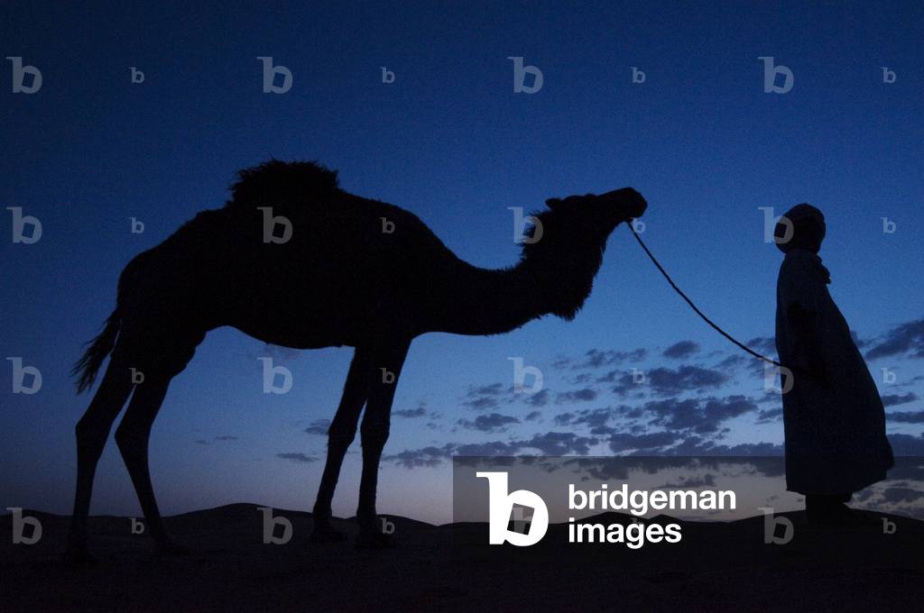 Silhouette of a man with his camel in sand dunes in the dawn light, Erg Chebbi, Morocco (photo)