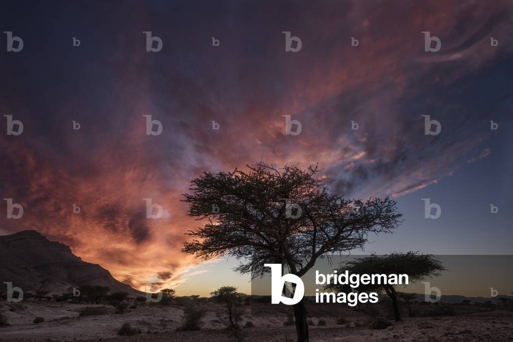 Sunset in the desert near Icht, Morocco (photo)