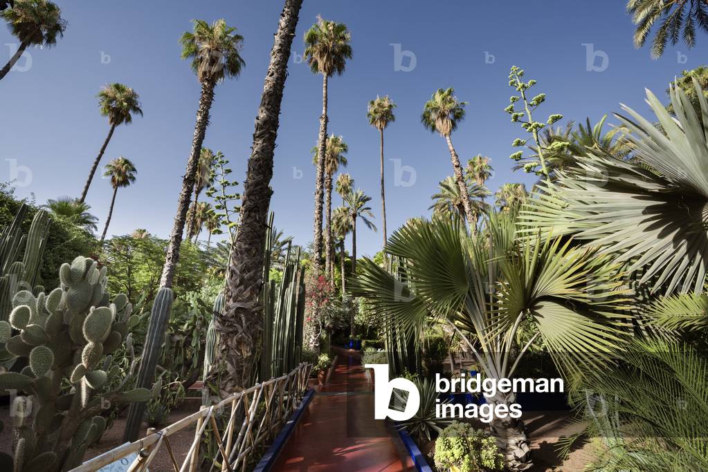 Majorelle Gardens, Marrakech, Morocco (photo)