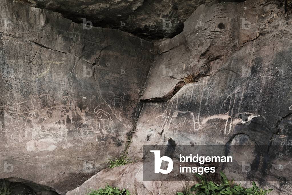 Prehistoric rock engravings of animals, Oukaimeden Plateau, High Atlas Mountains, Morocco (photo)