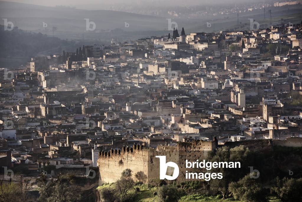 View of Fes el Bali and old city wall, Fes Morocco (photo)