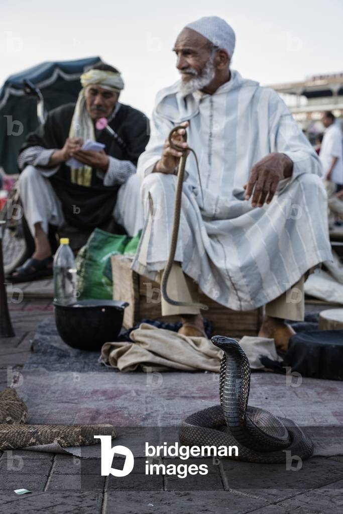 Snake charmer, Djemaa el Fna, Marrakech, Morocco (photo)