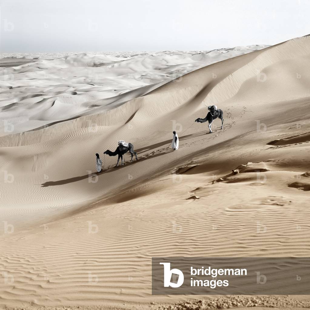 Saharoui nomads crossing sand dunes with their camels, Southern Morocco, Morocco (photo)