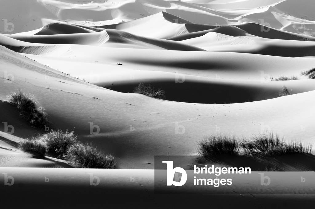 Sand Dunes, Erg Chebbi, Southern Morocco (b/w photo)