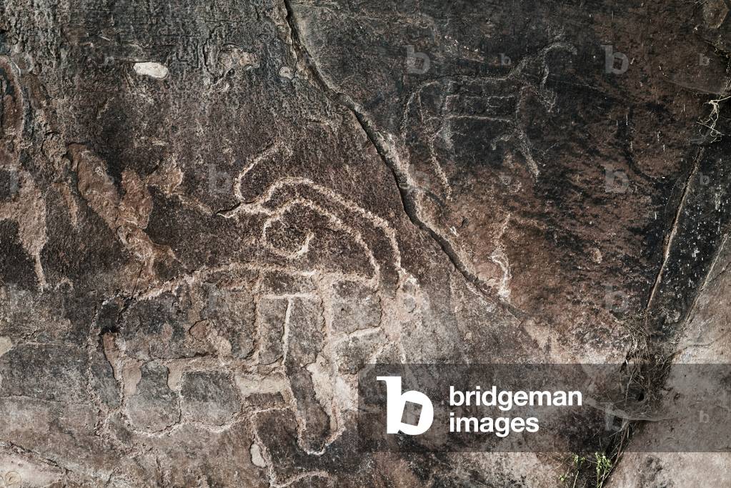 Prehistoric rock engravings of animals, Oukaimeden Plateau, High Atlas Mountains, Morocco (photo)