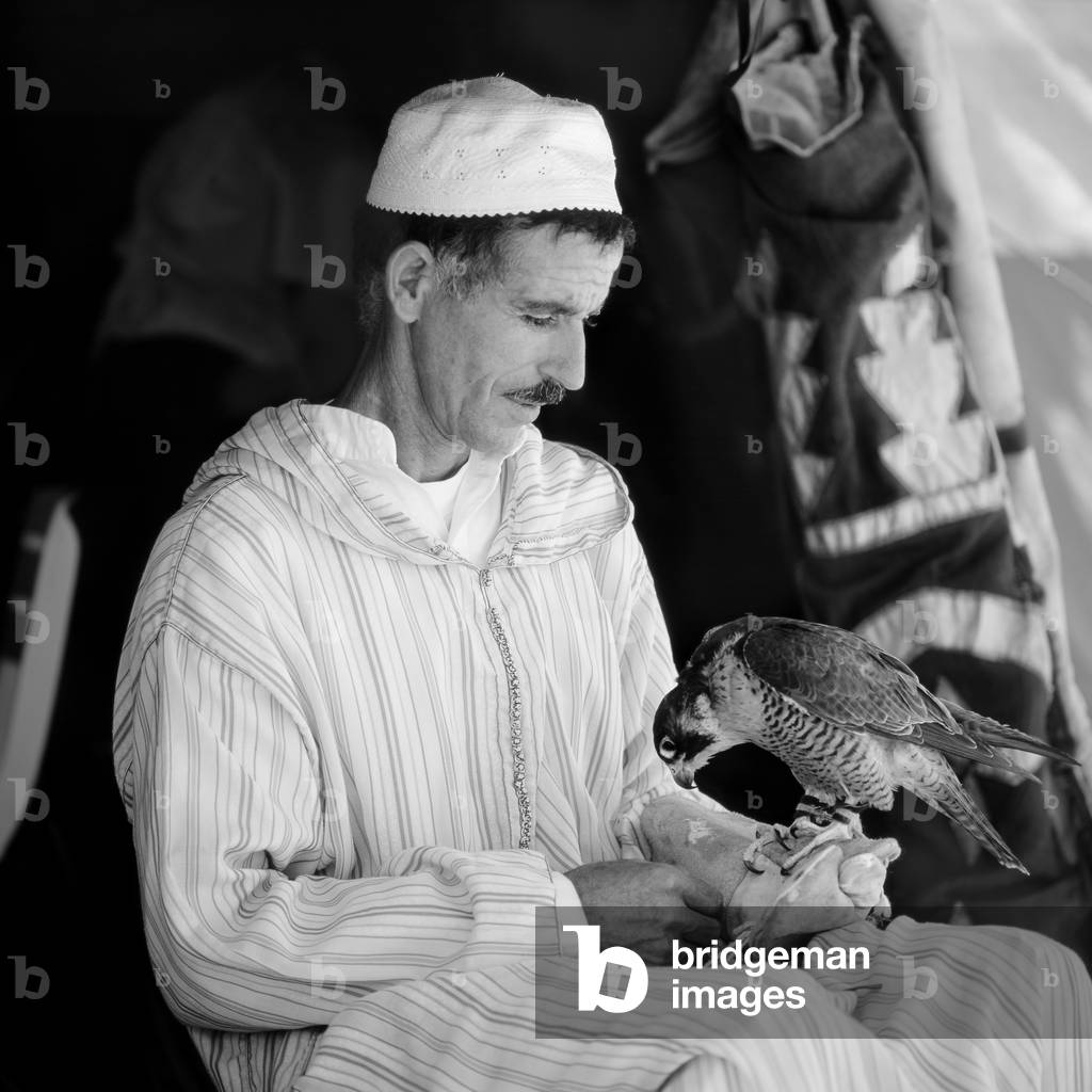 Arab falconner, Moussem of Moulay Abdellah, near Safi, Morocco (b/w photo)