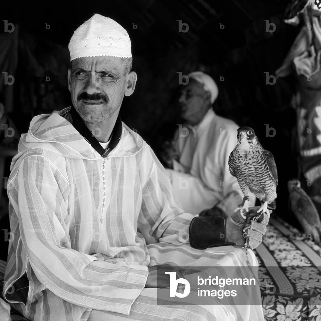 Arab falconner, Moussem of Moulay Abdellah, near Safi, Morocco (b/w photo)