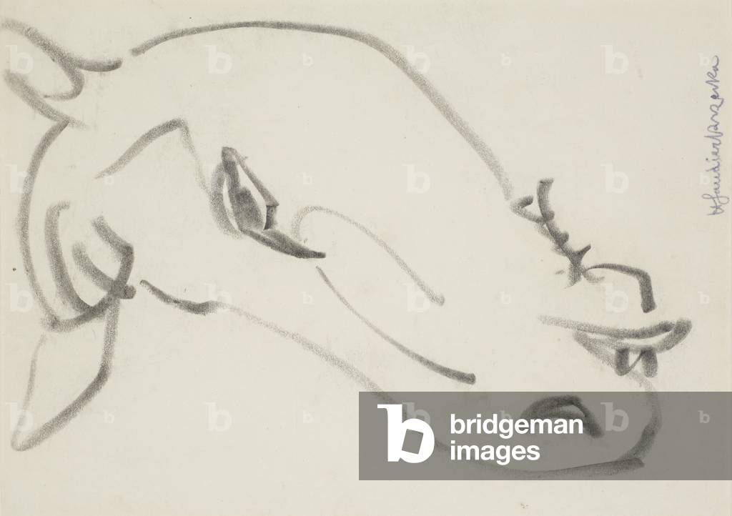 Head of a horse, 1913 (circa) (drawing)