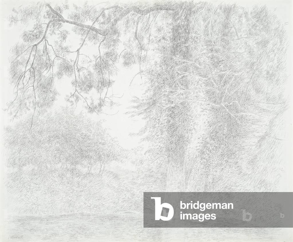 Entangled Trees, 1976 (drawing)