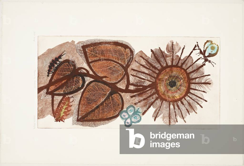 Flowers and Insects, n.d. (print)