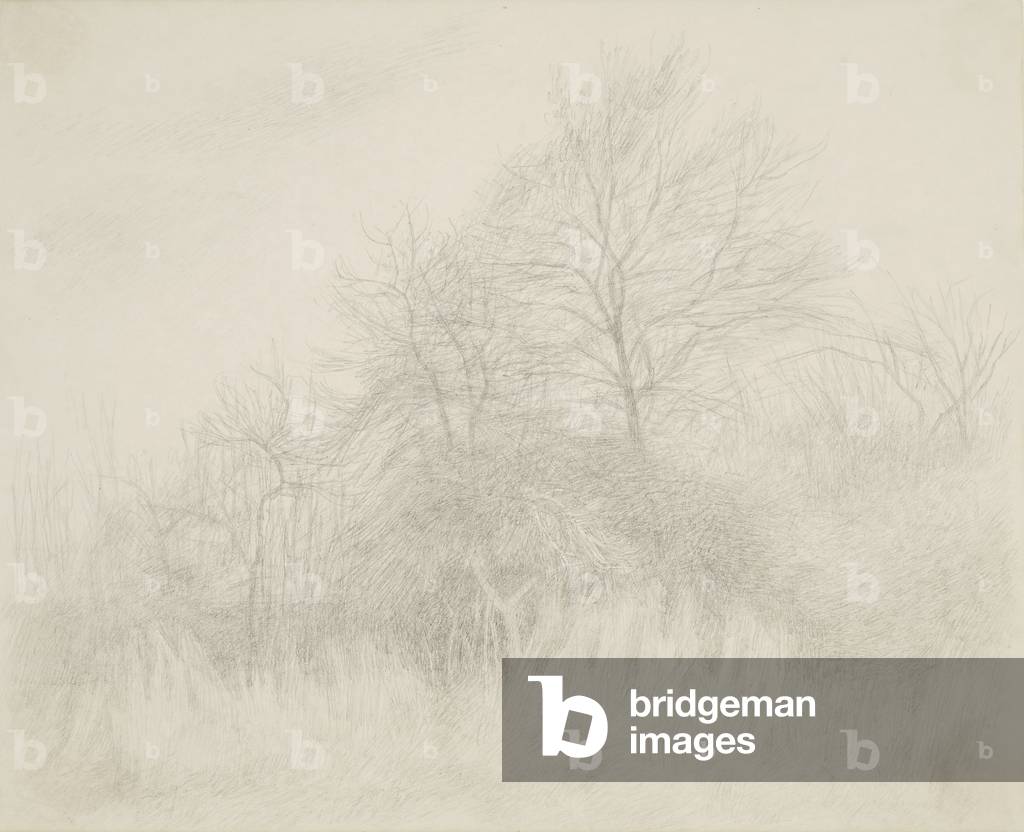 Corner of a Field, 1968 (drawing)