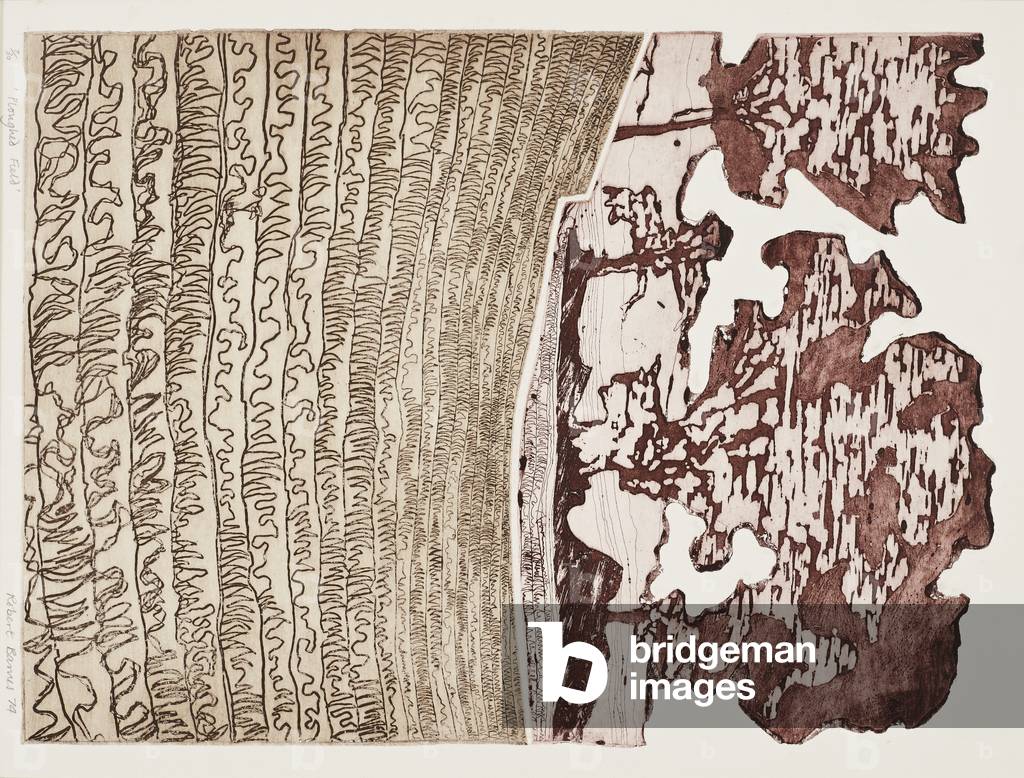 Ploughed Field, 1974 (print)